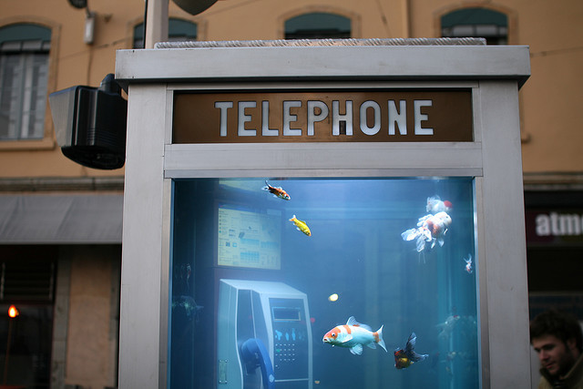 Photo booth aquarium par Nicolas Nova