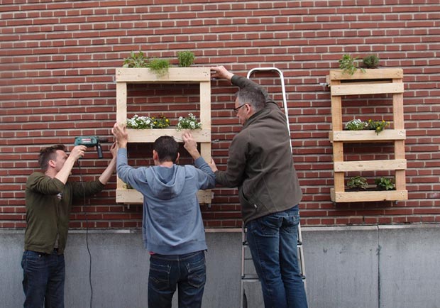 1.-DIY-planters-620
