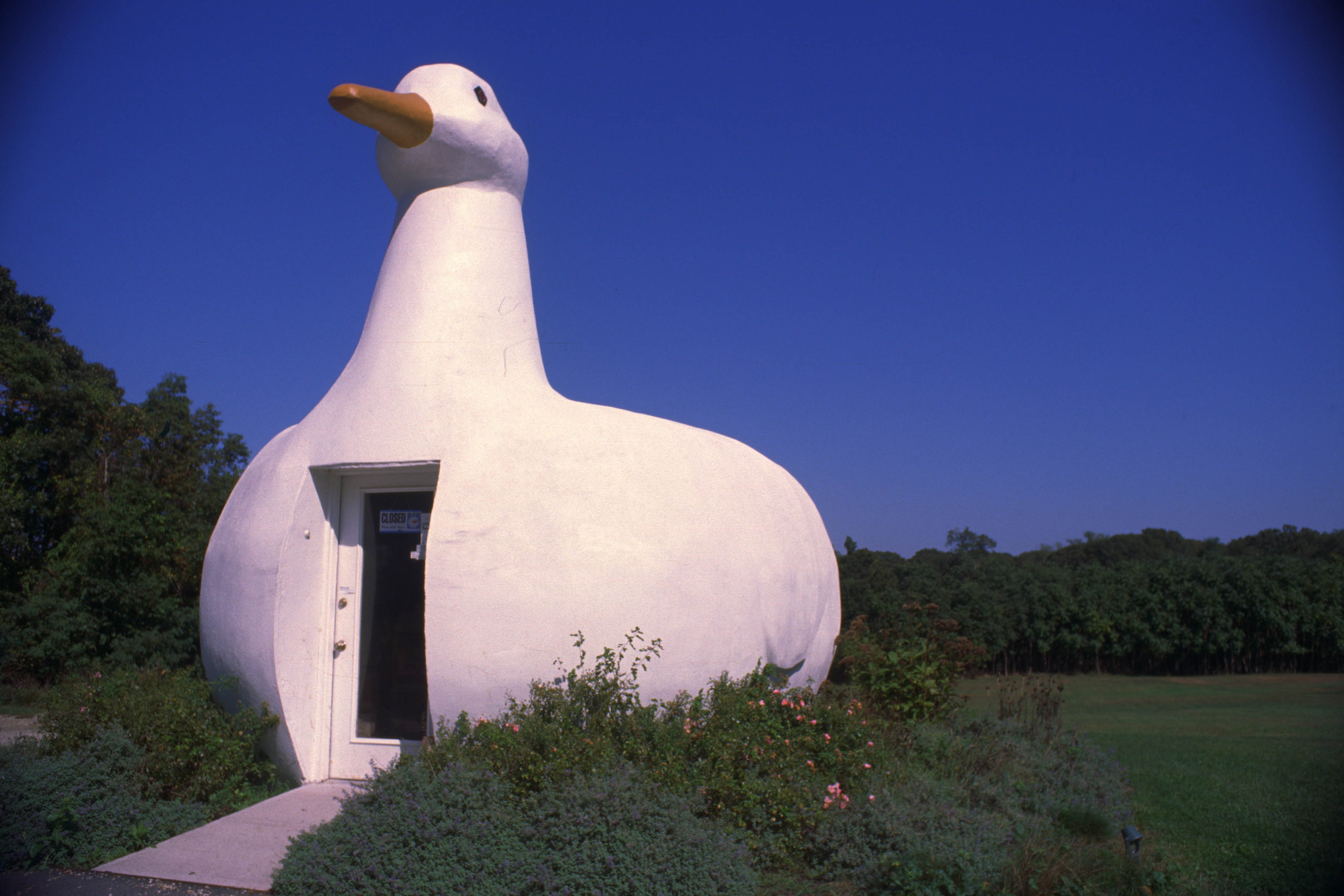 The Big Duck Flanders, Long Island Nikon F Nikkor-H Auto 28mm f/3.5 Kodak Elite Chrome 100